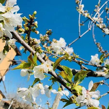 Gli Elci Bed & Breakfast Todi