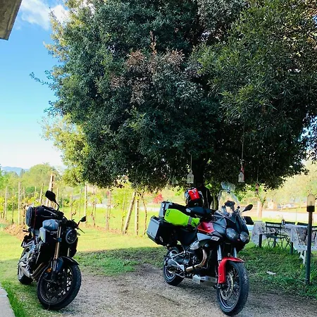 Gli Elci Bed & Breakfast Todi